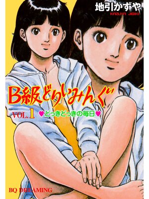 cover image of B級どりいみんぐ　1